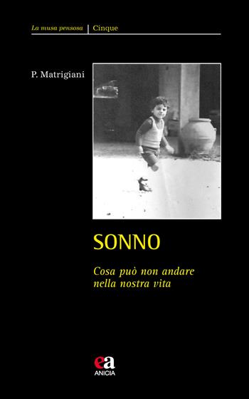 Sonno. Cosa può non andare nella nostra vita - Paolo Matrigiani - Libro Anicia (Roma) 2021, La musa pensosa | Libraccio.it