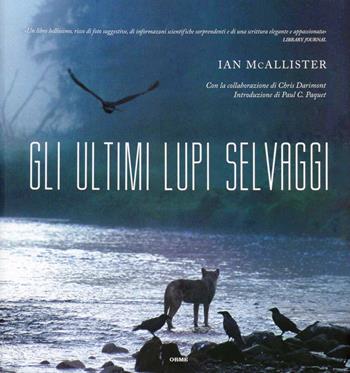 Gli ultimi lupi selvaggi. Ediz. illustrata - Ian McAllister, Chris Darimont - Libro Orme Editori 2012, Acquari | Libraccio.it