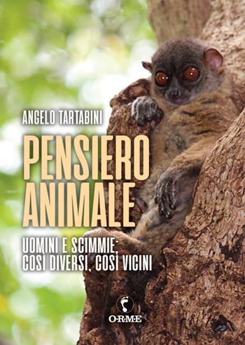 Pensiero animale. Uomini e scimmie - Angelo Tartabini - Libro Orme Editori 2021 | Libraccio.it
