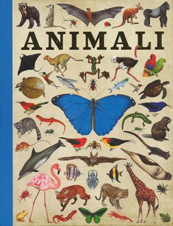 Animali. Ediz. a colori - Camilla de La Bédoyère - Libro Emme Edizioni 2017, Album | Libraccio.it
