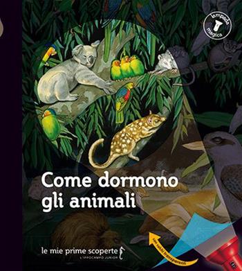 Come dormono gli animali. Lampada magica  - Libro L'Ippocampo Ragazzi 2015, Le mie prime scoperte | Libraccio.it
