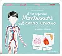 Il mio cofanetto Montessori del corpo umano - Marie Eschenbrenner, Sabrine Hofman - Libro L'Ippocampo Ragazzi 2018 | Libraccio.it