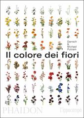 Il colore dei fiori