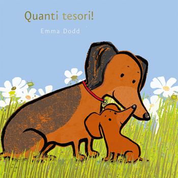Quanti tesori! Ediz. illustrata - Emma Dodd - Libro L'Ippocampo Ragazzi 2019 | Libraccio.it