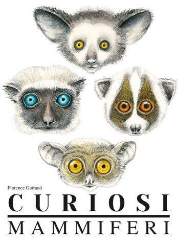 Curiosi mammiferi. Ediz. a colori - Florence Guiraud - Libro L'Ippocampo Ragazzi 2019 | Libraccio.it