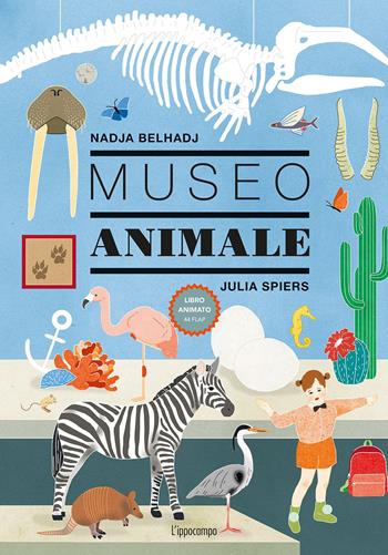 Museo animale. Ediz. a colori - Julia Spiers, Nadja Belhadj - Libro L'Ippocampo 2021 | Libraccio.it