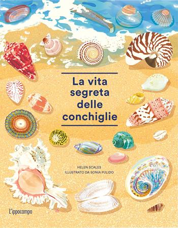 La vita segreta delle conchiglie - Helen Scales - Libro L'Ippocampo 2022 | Libraccio.it