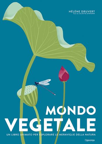 Mondo vegetale. Un libro animato per esplorare le meraviglie della natura. Ediz. a colori - Hélène Druvert - Libro L'Ippocampo 2023 | Libraccio.it