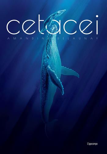 Cetacei. Album scoperte - Amandine Delaunay - Libro L'Ippocampo 2025 | Libraccio.it