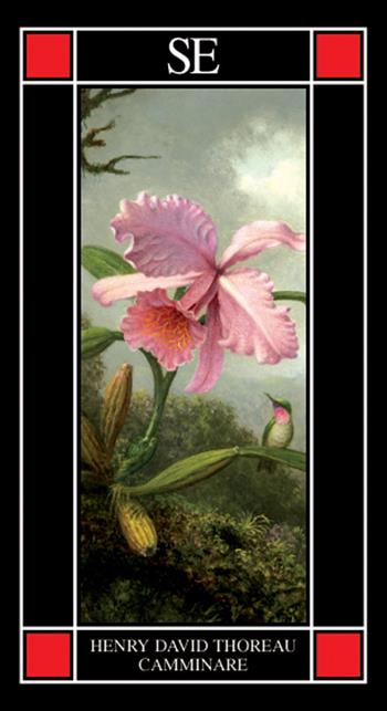 Camminare - Henry David Thoreau - Libro SE 2022, Piccola enciclopedia | Libraccio.it