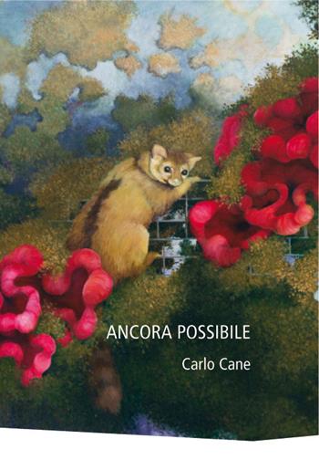 Ancora possibile. Ediz. illustrata - Carlo Cane - Libro NFC Edizioni 2015 | Libraccio.it