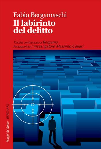 Il labirinto del delitto - Fabio Bergamaschi - Libro Robin Edizioni 2015, La biblioteca | Libraccio.it