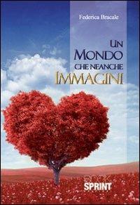 Un mondo che neanche immagini - Federica Bracale - Libro BooksprintEdizioni 2013 | Libraccio.it