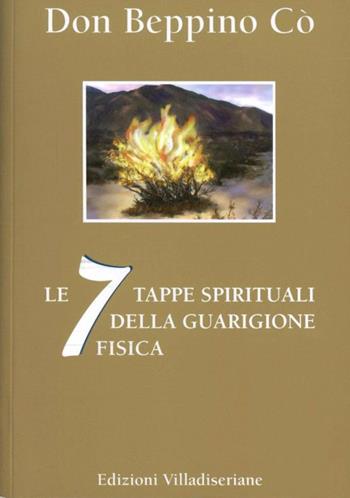 Le 7 tappe spirituali della guarigione fisica - Beppino Co - Libro Villadiseriane 2012 | Libraccio.it