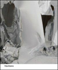 Pawel Althamer. Polyethylene. Common task. Ediz. illustrata - Sebastian Cichocki, Letizia Ragaglia, Andrea Viliani - Libro Mousse Magazine & Publishing 2012 | Libraccio.it