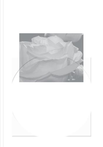 Word is round  - Libro Mousse Magazine & Publishing 2025 | Libraccio.it