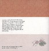 Evelyn Taocheng Wang. An equivocal contrast. Ediz. inglese e cinese