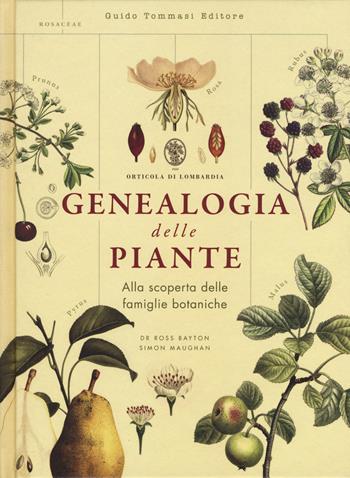 Genealogia delle piante - Ross Bayton, Simon Maughan - Libro Guido Tommasi Editore-Datanova 2018, Germogli | Libraccio.it