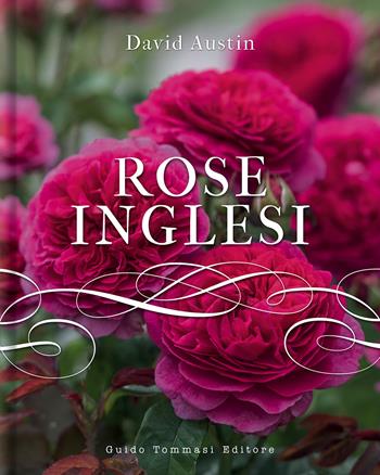 Rose inglesi - David Austin - Libro Guido Tommasi Editore-Datanova 2020, Germogli | Libraccio.it