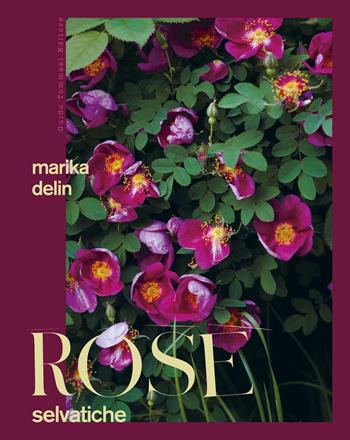 Rose selvatiche - Marika Delin - Libro Guido Tommasi Editore-Datanova 2025, Germogli | Libraccio.it