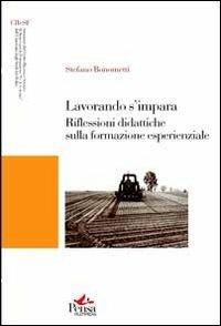 Lavorando s'impara. Riflessioni didattiche sulla formazione esperienziale - Stefano Bonometti - Libro Pensa Multimedia 2013, Strumenti | Libraccio.it