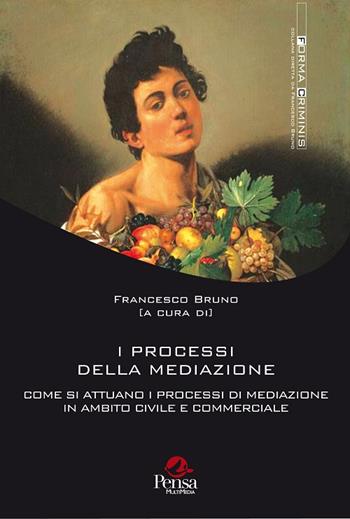 I processi della mediazione. Come si attuano i processi di mediazione in ambito civile e commerciale  - Libro Pensa Multimedia 2017, Forma criminis | Libraccio.it