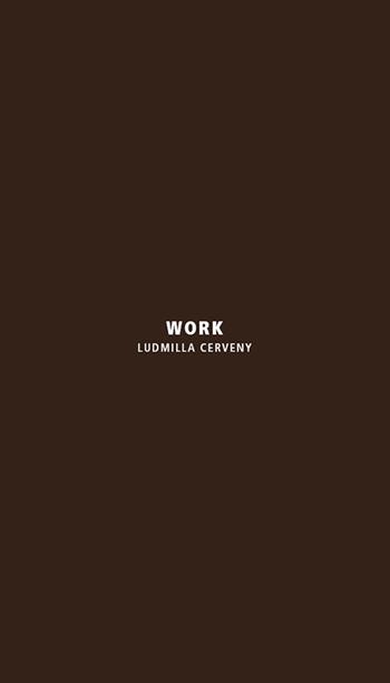 Work. Ludmilla Cerveny. Ediz. italiana e inglese  - Libro Libria 2019, Arianuova | Libraccio.it