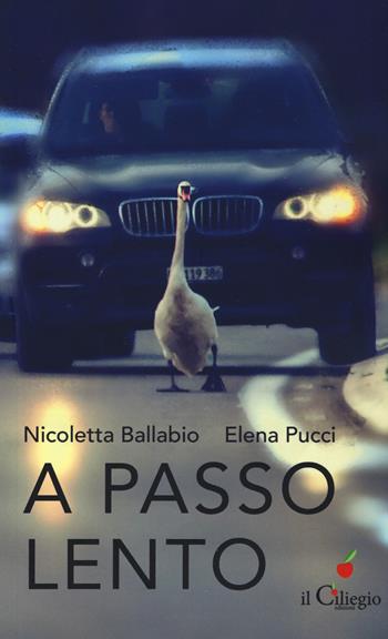 A passo lento. Pensieri, idee, proposte per educare alla lentezza nel tempo della velocità - Nicoletta Ballabio, Elena Pucci - Libro Il Ciliegio 2018, Saggi | Libraccio.it