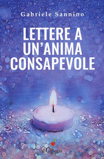 Lettere a un'anima consapevole. Quello che dovresti sapere sulla vita e sulla nostra umanità - Gabriele Sannino - Libro Il Ciliegio 2019, Spiritualità e benessere | Libraccio.it