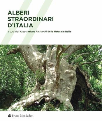 Alberi straordinari d'Italia. Ediz. a colori  - Libro Mondadori Bruno 2018, Ricerca | Libraccio.it