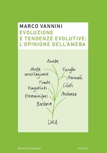 Evoluzione e tendenze evolutive: l'opinione dell'ameba - Marco Vannini - Libro Mondadori Bruno 2019, Ricerca | Libraccio.it