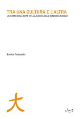 Tra una cultura e l'altra. Lo stato dell'arte nella sociologia interculturale