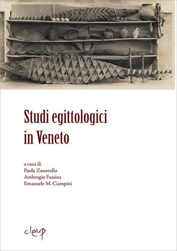 Studi egittologici in Veneto  - Libro CLEUP 2014, Archeologia, storia antica e orientalista | Libraccio.it