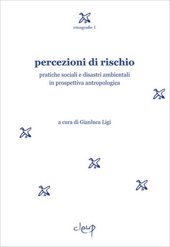 Percezioni di rischio. Pratiche sociali e disastri ambientali in prospettiva antropologica  - Libro CLEUP 2016, Etnografie | Libraccio.it