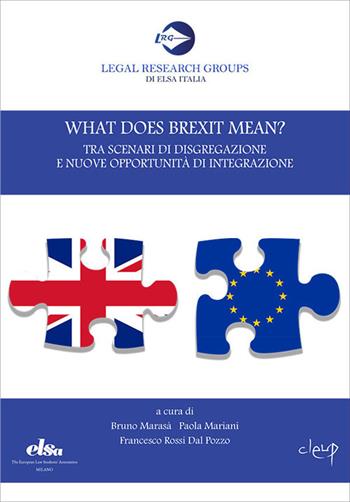What does Brexit mean? Tra scenari di disgregazione e nuove opportunità di integrazione  - Libro CLEUP 2017, Legal Research Groups di Elsa Italia | Libraccio.it
