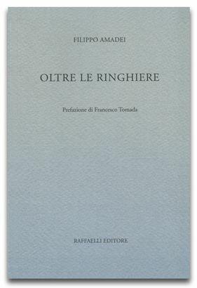 Oltre le ringhiere - Filippo Amadei - Libro Raffaelli 2014 | Libraccio.it