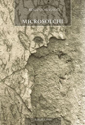 Microsolchi - Renzo Romagnoli - Libro Raffaelli 2020 | Libraccio.it