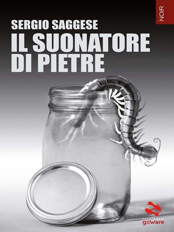 Il suonatore di pietre - Sergio Saggese - Libro goWare 2016, Pesci rossi | Libraccio.it