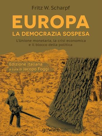 Europa. La democrazia sospesa. L'unione monetaria, la crisi economica e il blocco della politica - Fritz W. Scharpf - Libro goWare 2016, Economia e finanza | Libraccio.it