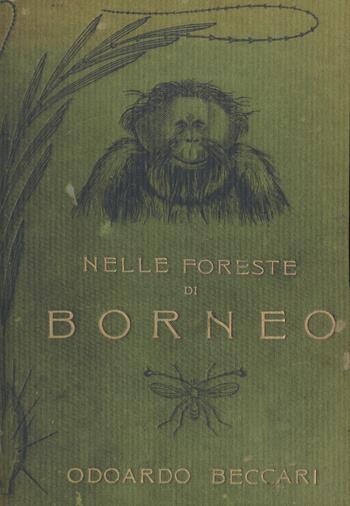Nelle foreste di Borneo. Ediz. integrale - Odoardo Beccari - Libro Edizioni Clichy 2020 | Libraccio.it