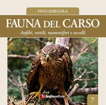 Fauna del Carso. Vol. 7: Anfibi, rettili, mammiferi e uccelli. - Pino Sfregola - Libro Luglio (Trieste) 2016 | Libraccio.it