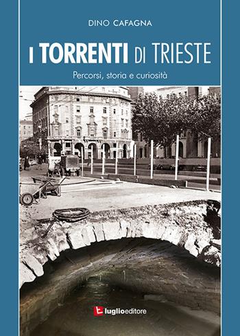 I torrenti di Trieste. Percorsi, storia e curiosità - Dino Cafagna - Libro Luglio (Trieste) 2017 | Libraccio.it