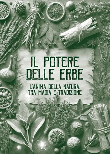 Il potere delle erbe. L'anima della natura. Tra magia e tradizione - Simonetta Marra - Libro Il Punto PiemonteinBancarella 2025, I quotidiani | Libraccio.it