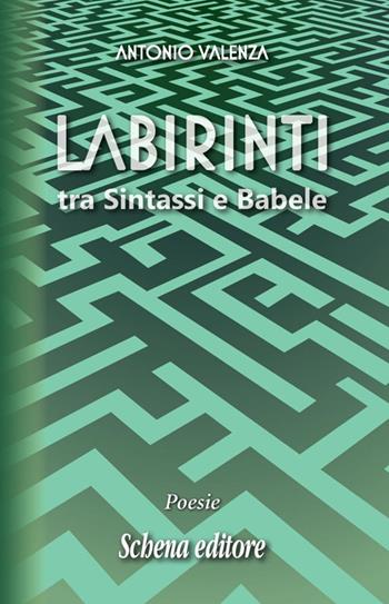 Labirinti. Tra sintassi e Babele - Antonio Valenza - Libro Schena Editore 2016 | Libraccio.it