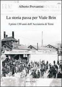 La storia passa per Viale Brin. I primi 130 anni dell'Acciaieria di Terni - Alberto Provantini - Libro Edizioni Thyrus 2014, Nuova collana letteraria | Libraccio.it