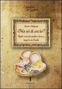 Ma sei di coccio? Tigelle, crescenti, piadine e focacce... lungo la via Emilia - Enrico Belgrado - Libro Damster 2013 | Libraccio.it