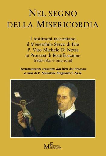 Nel segno della misericordia. I testimoni raccontano il Venerabile Servo di Dio P. Vito Michele Di Netta ai Processi di Beatificazione (1896-1897 e 1913-1919)  - Libro Meligrana Giuseppe Editore 2013, Tropea e dintorni | Libraccio.it