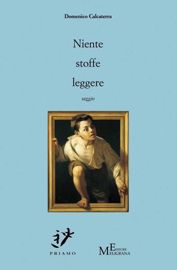 Niente stoffe leggere - Domenico Calcaterra - Libro Meligrana Giuseppe Editore 2014, Priamo | Libraccio.it