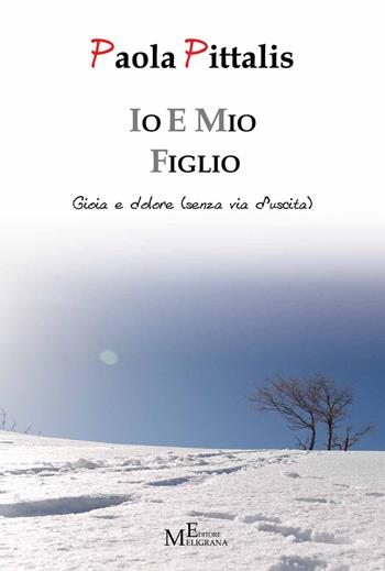 Io e mio figlio. Gioia e dolore (senza via d'uscita) - Paola Pittalis - Libro Meligrana Giuseppe Editore 2015, Diary | Libraccio.it