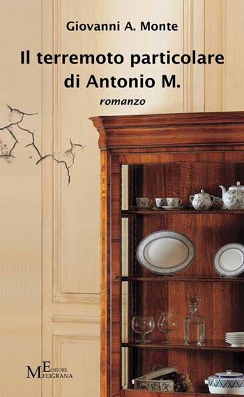 Il terremoto particolare di Antonio M. - Giovanni A. Monte - Libro Meligrana Giuseppe Editore 2016, Narrativa inclusa | Libraccio.it